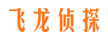 巴州市私家侦探